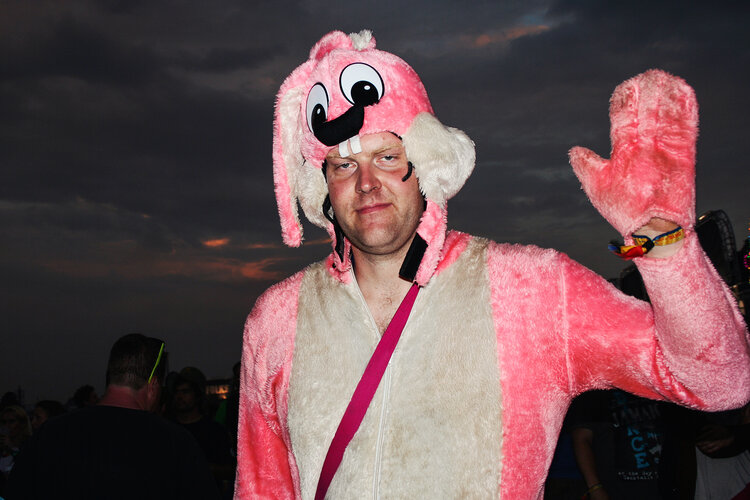 deichbrand festival 2016